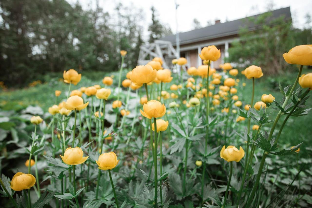 North Story Cottages Near RukaKäylä エクステリア 写真